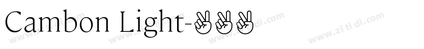 Cambon Light字体转换